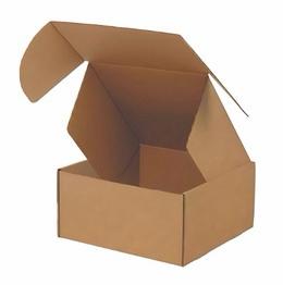 Brown Pizza Type Corrugated Carton Box